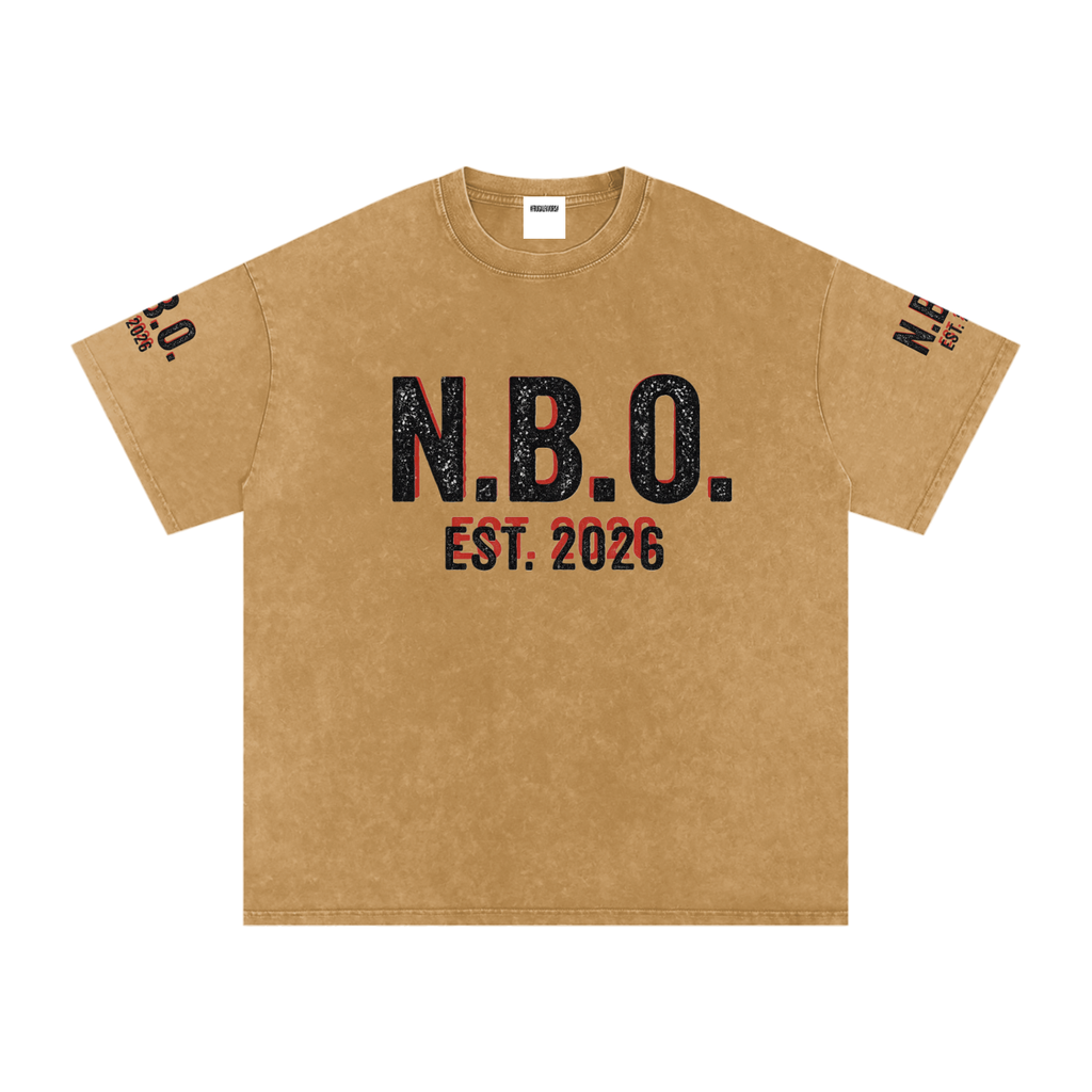 Snow Washed Oversized Cotton T-Shirt